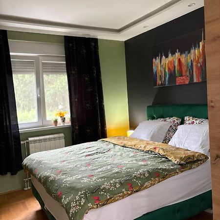 Apartman Diana 斯雷姆斯卡米特罗维察 外观 照片