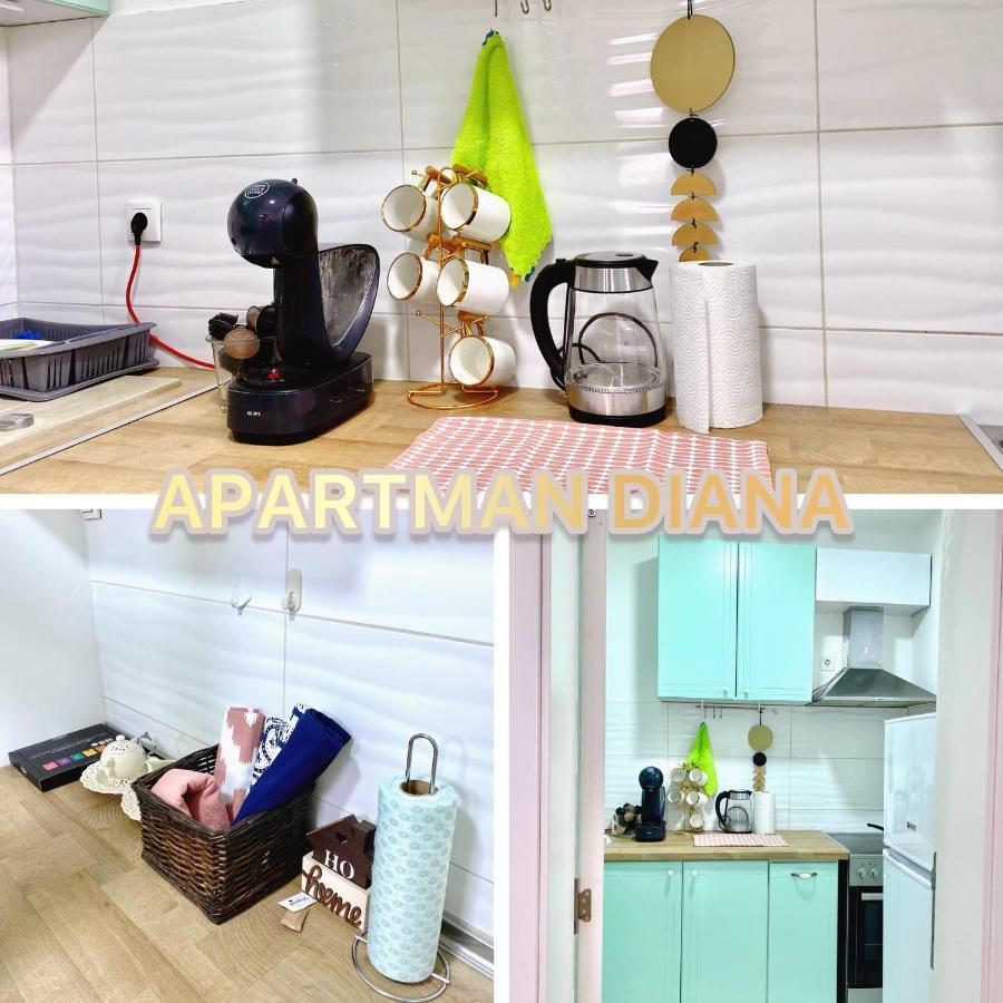 Apartman Diana 斯雷姆斯卡米特罗维察 外观 照片