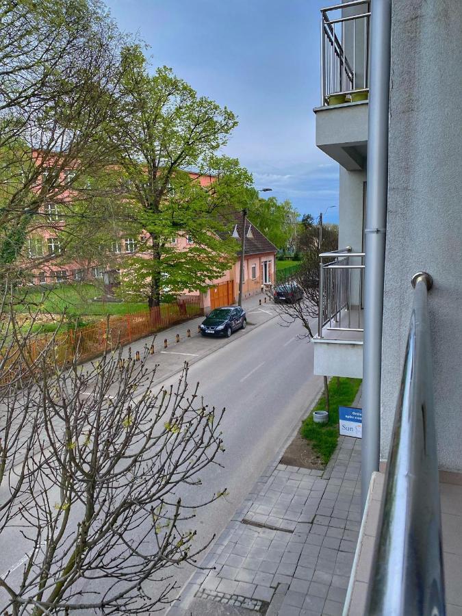 Apartman Diana 斯雷姆斯卡米特罗维察 外观 照片