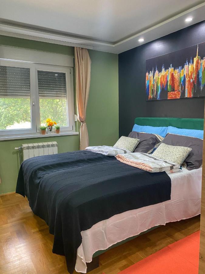 Apartman Diana 斯雷姆斯卡米特罗维察 外观 照片