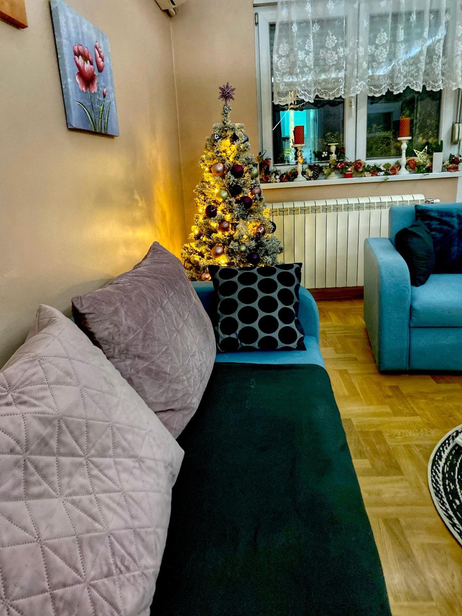 Apartman Diana 斯雷姆斯卡米特罗维察 外观 照片