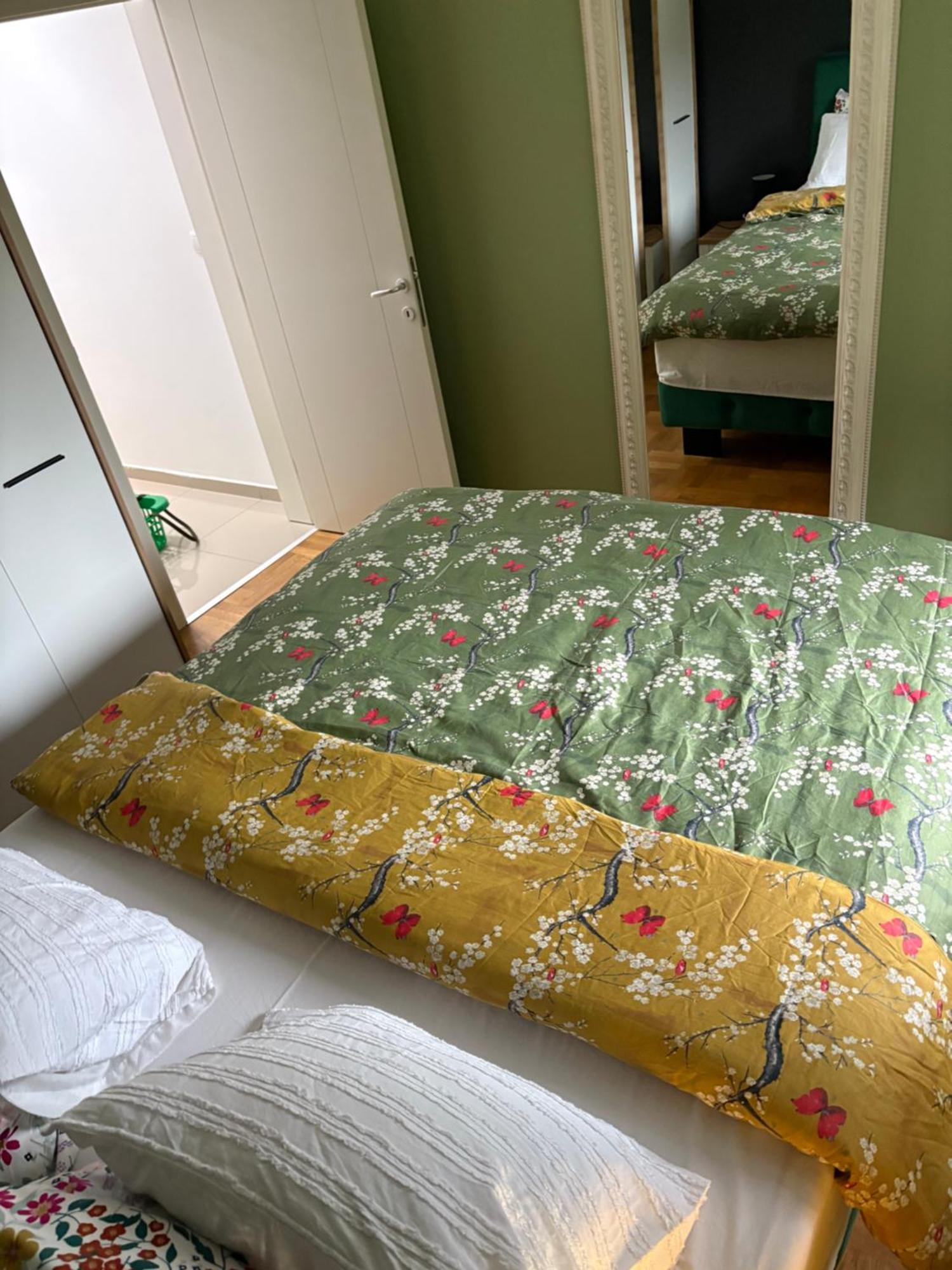 Apartman Diana 斯雷姆斯卡米特罗维察 外观 照片
