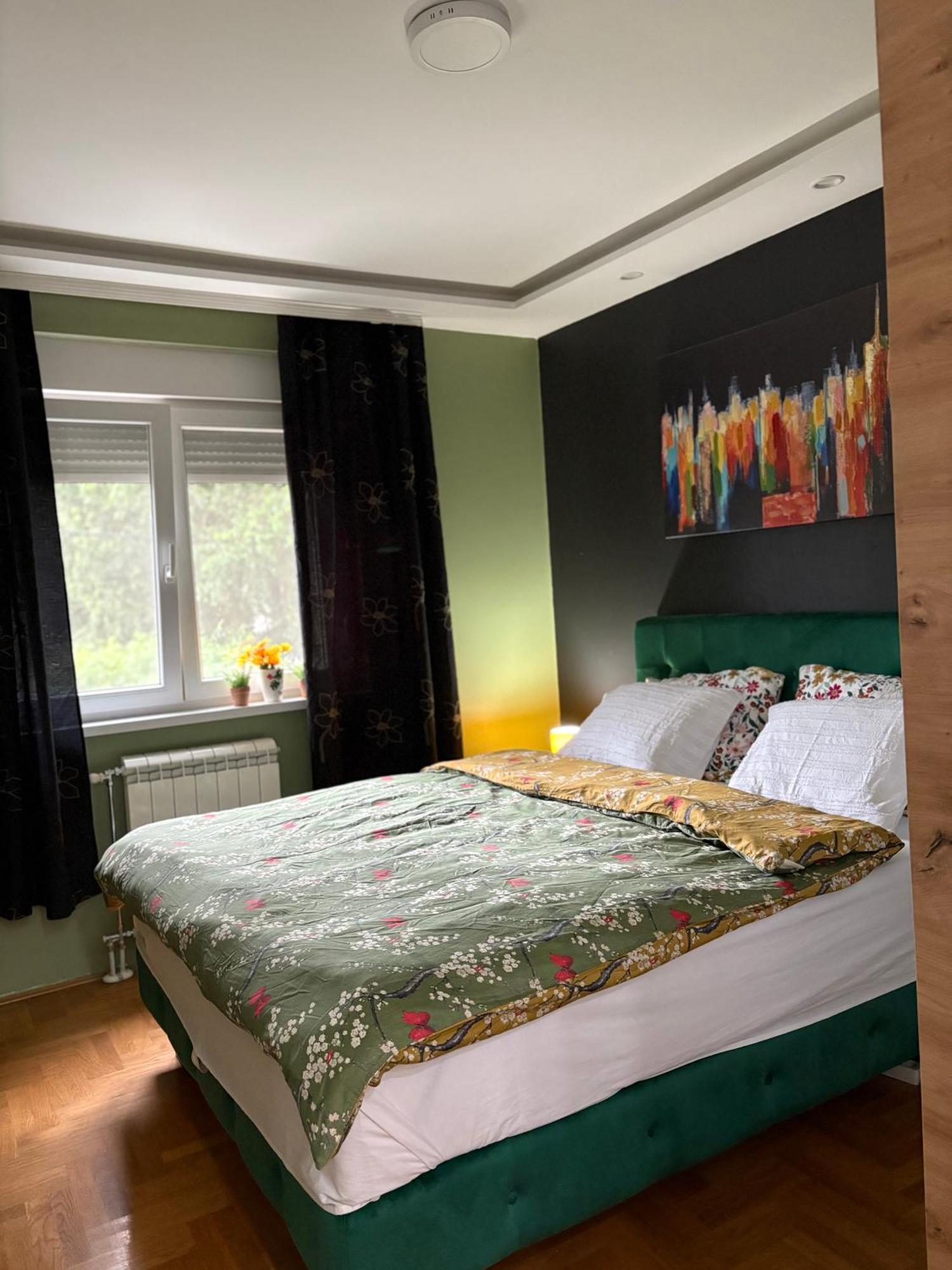 Apartman Diana 斯雷姆斯卡米特罗维察 外观 照片